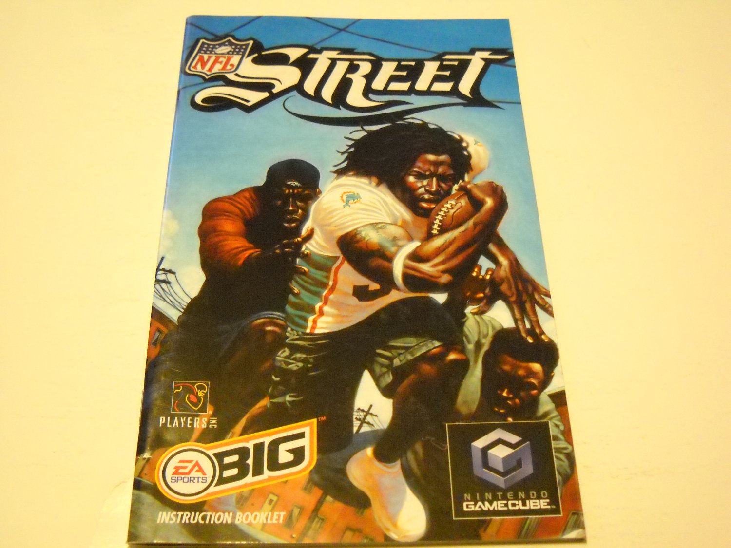 Manual ONLY ~ for NFL Street Gamecube