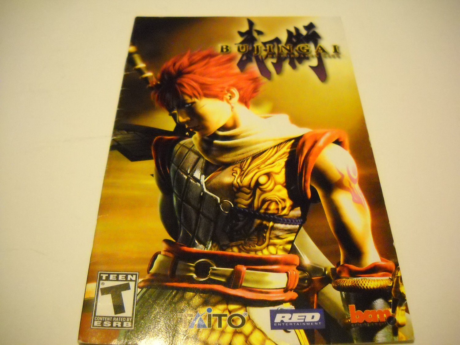 Manual ONLY ~ for Bujingai The Forsaken City Ps2