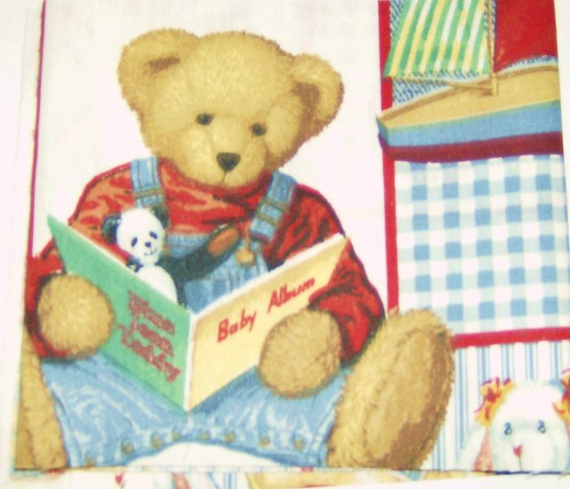 Teddy Bear Fabric