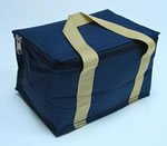 Maxam Insulated Lunch Bag