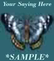 Teal Blue Green Butterfly Ready Made Logo & Image Personalized To Your Name