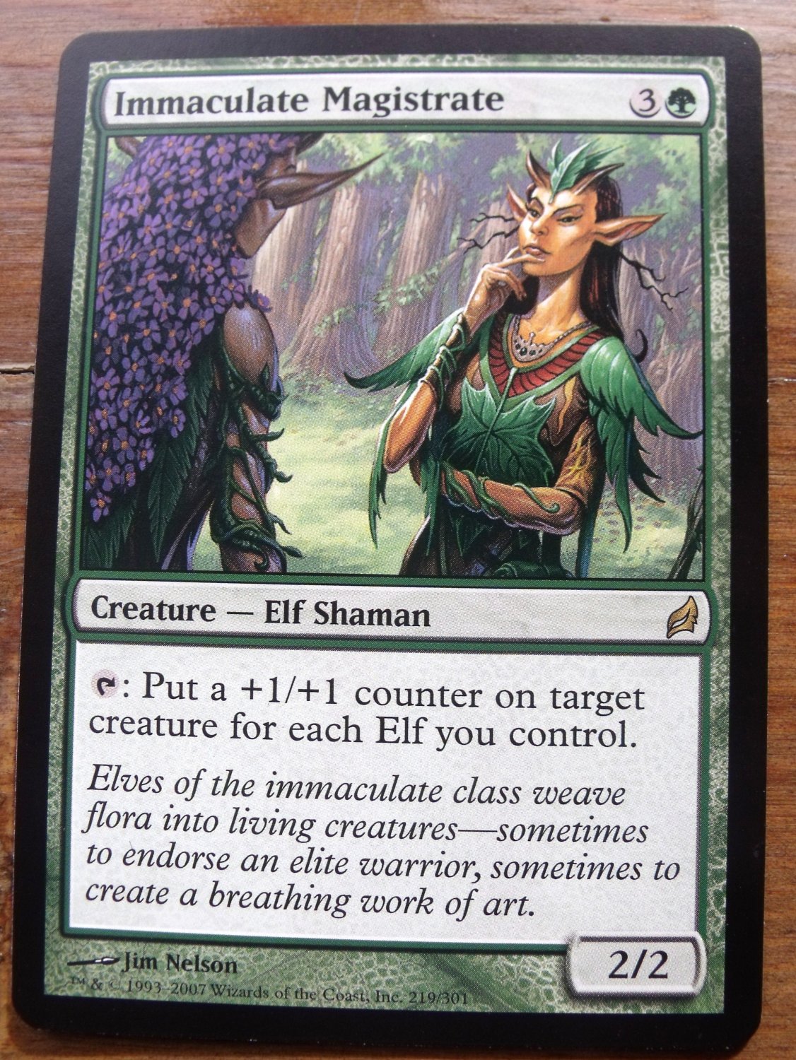Immaculate Magistrate, Lorwyn, VF Magic the Gathering