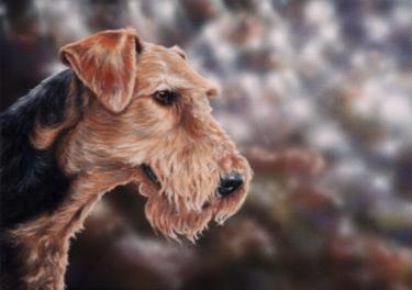 'Airedale Terrier'