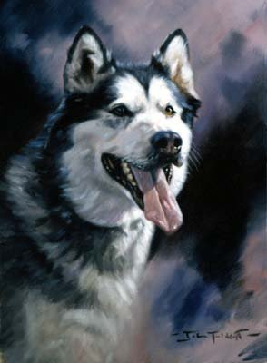 'Alaskan Malamute'
