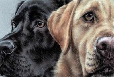 'The Eyes Have It'