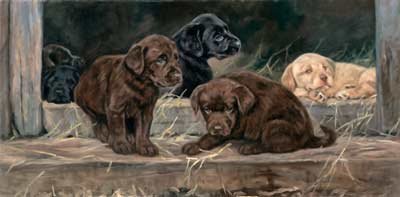 'The Brat Pack'