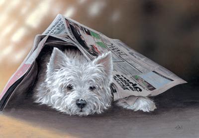 'Highland News'