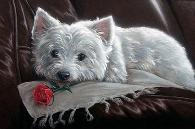'Romeo'