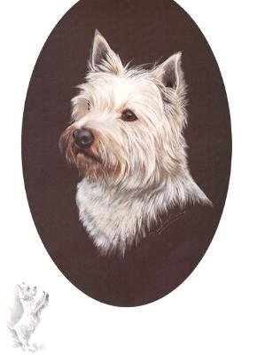 Westie