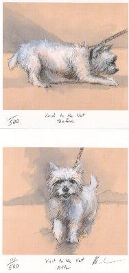 Visit to the Vets, Before and After (Pair)