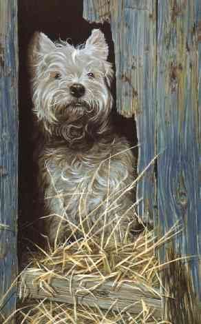 The Barn Door