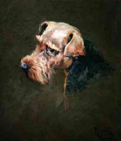 Welsh Terrier