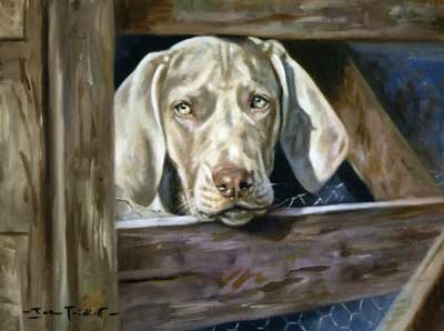 'The Gatekeeper'