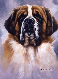 'Saint Bernard'