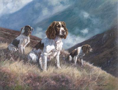 'On The Moors'