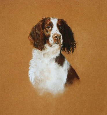 'Springer Study'