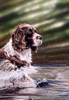 'Making Waves'