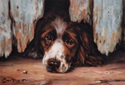'The Underdog'