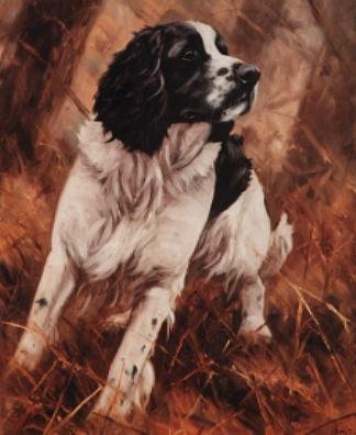 Black White Springer