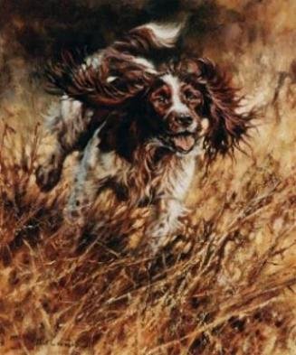 Springer at Work
