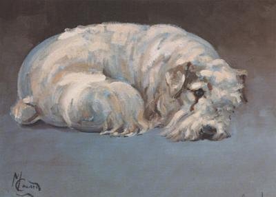 Sealyham Terrier