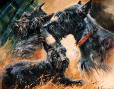 'The Scottie'