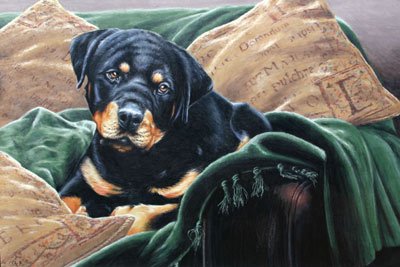'Couch Potato'