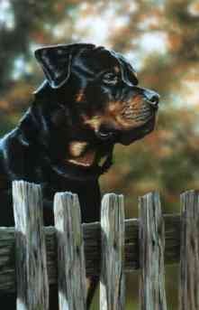 Guard Duty