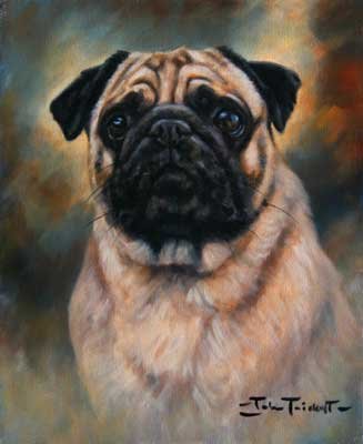 'Portrait of a Pug'