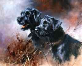 O.K. Boys (Patterdales)