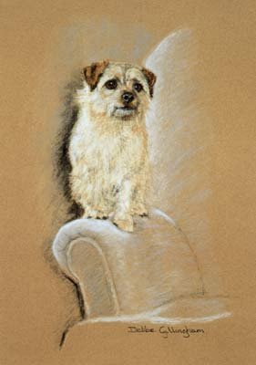 'Armchair Warrior'
