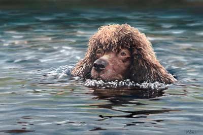 'Swimming'