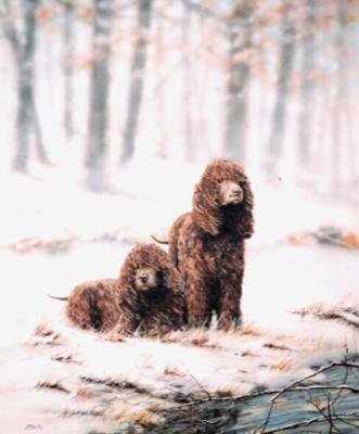 'Snowbound'