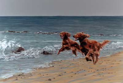 'Time and Tide'