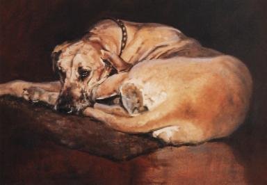 The Great Dane