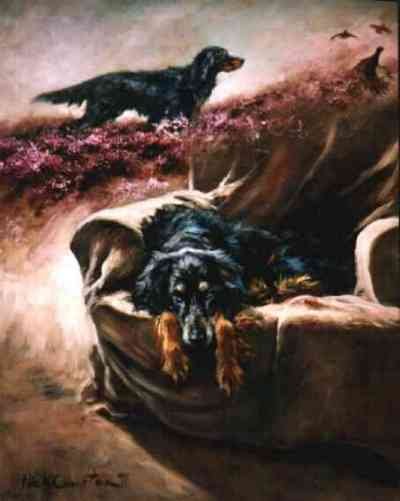 Memories (Gordon Setter)