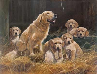 'The Home Team'