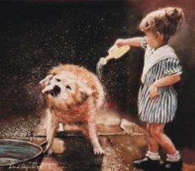 Spin Dry