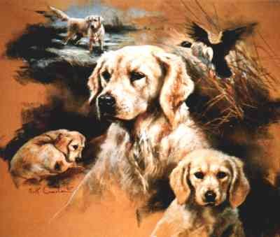 When I Grow Up Golden Retrievers