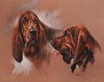 Blood Hounds