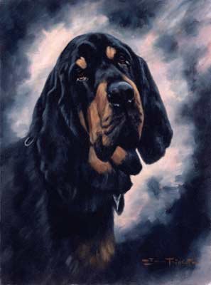 'Portrait of a Bloodhound'