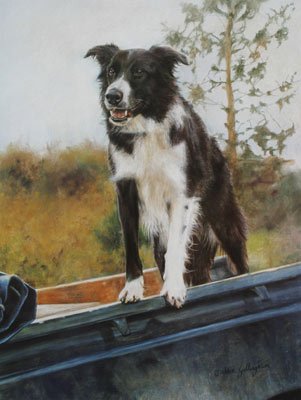 'Homeward Bound'
