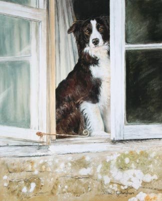 'Room With A View'