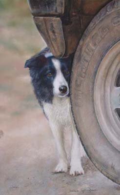 'Behind The Wheel'
