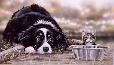 'Collie Troubles'