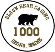 Black Bear