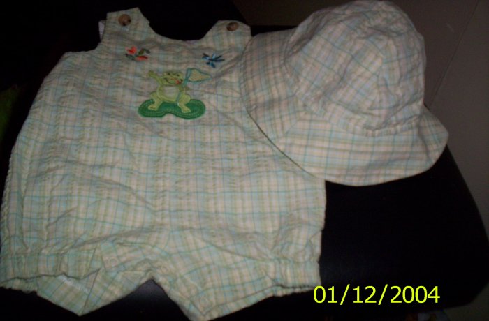 3-6 Month Outfit Goodlad of Philadelphia Frog and Bee Themed