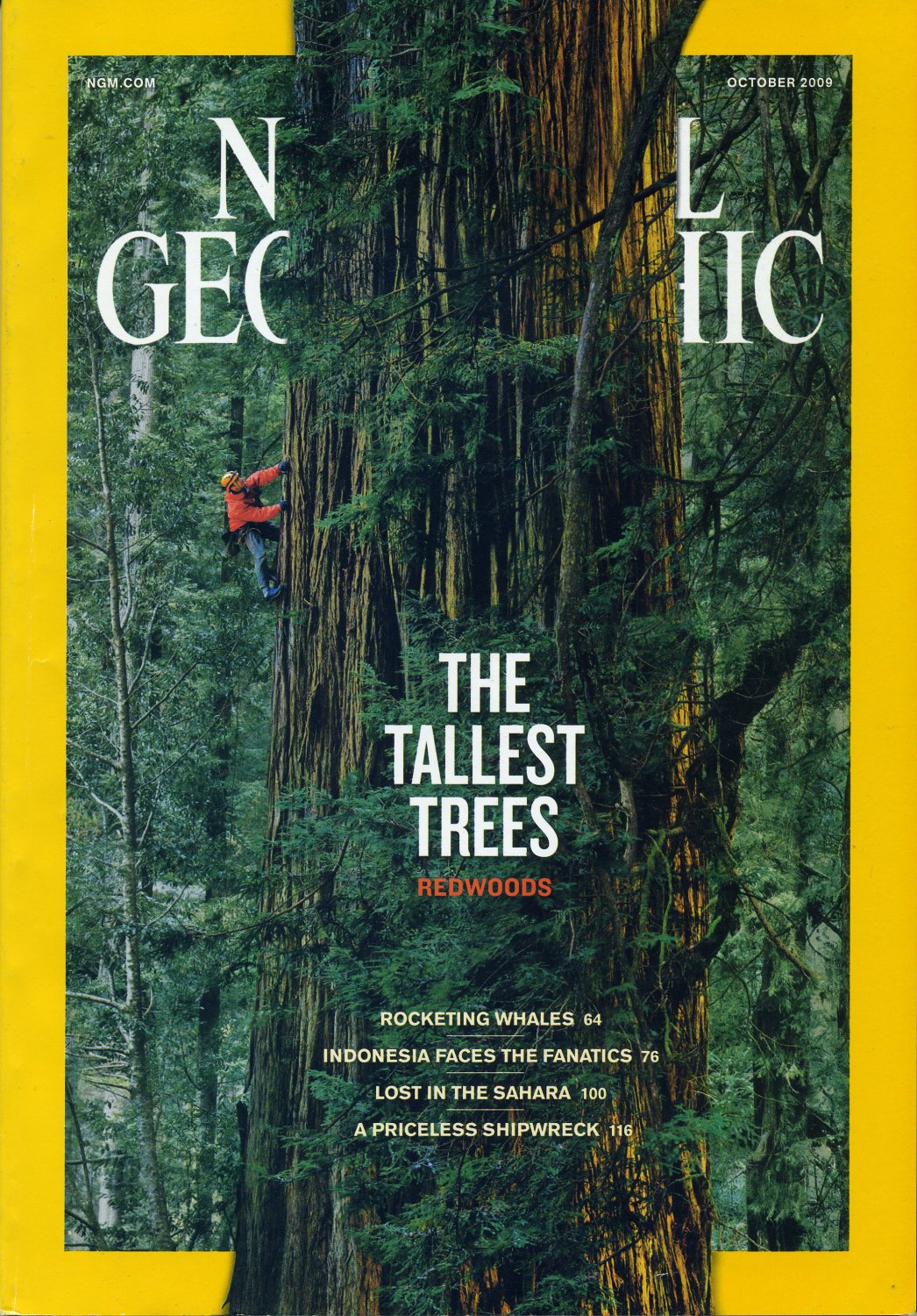 National Geographic October 2009 The Tallest Trees Redwoods