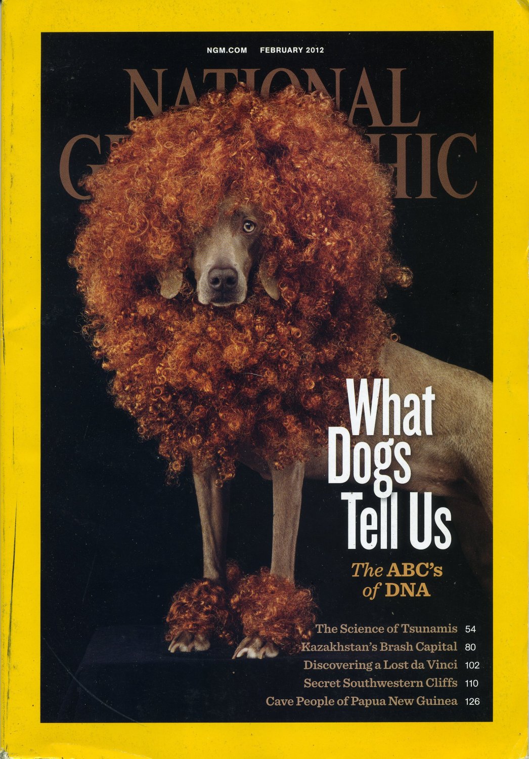 National Geographic February 2012What Dogs Tell Us DNA Tsunamis