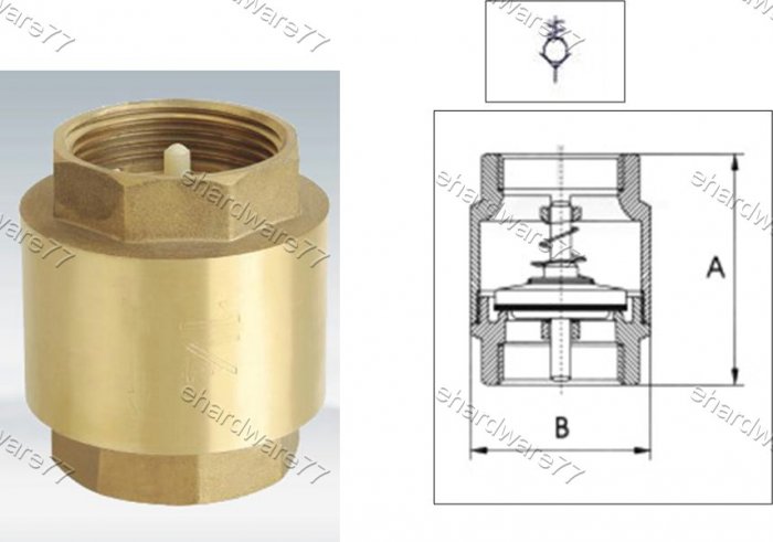 York Style Spring Brass Check Valve 1" BSP